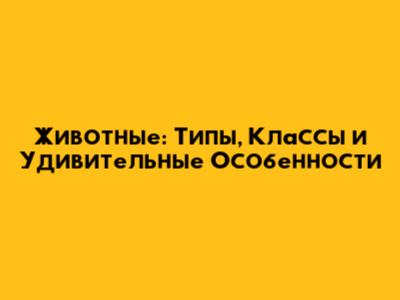 Животные: Типы, Классы и Удивительные Особенности
