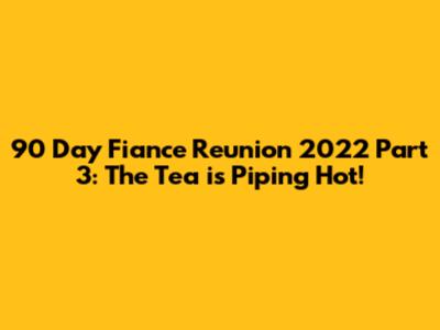 90 Day Fiance Reunion 2022 Part 3: The Tea is Piping Hot!