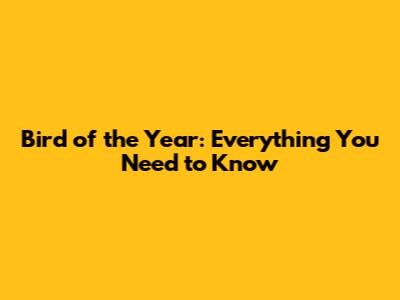 Bird of the Year: Everything You Need to Know