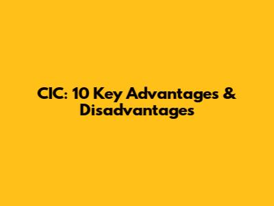 CIC: 10 Key Advantages & Disadvantages