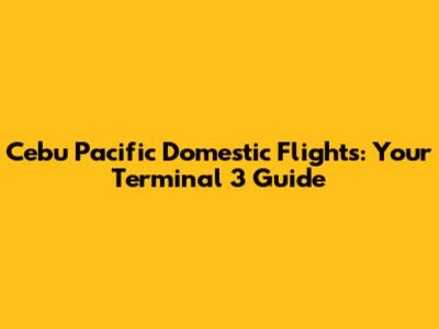 Cebu Pacific Domestic Flights: Your Terminal 3 Guide
