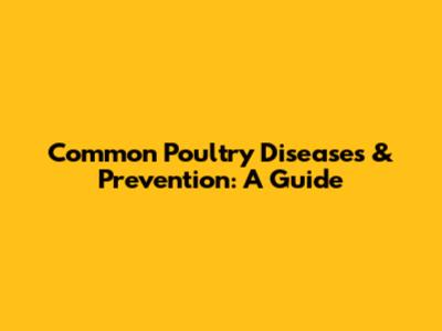 Common Poultry Diseases & Prevention: A Guide