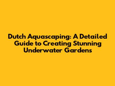 Dutch Aquascaping: A Detailed Guide to Creating Stunning Underwater Gardens