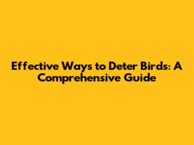Effective Ways to Deter Birds: A Comprehensive Guide