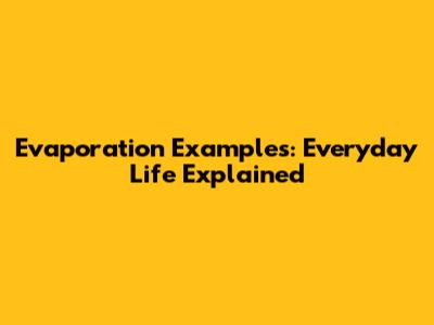 Evaporation Examples: Everyday Life Explained