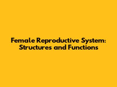 Female Reproductive System: Structures and Functions