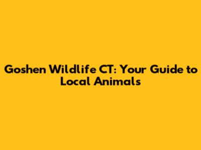 Goshen Wildlife CT: Your Guide to Local Animals