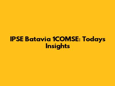 IPSE Batavia 1COMSE: Today's Insights