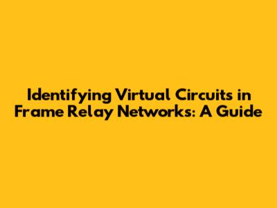 Identifying Virtual Circuits in Frame Relay Networks: A Guide