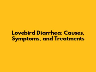 Lovebird Diarrhea: Causes, Symptoms, and Treatments
