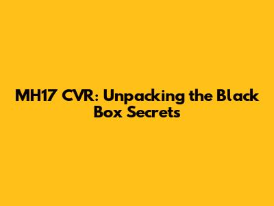 MH17 CVR: Unpacking the Black Box Secrets