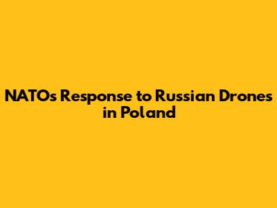 NATO's Response to Russian Drones in Poland