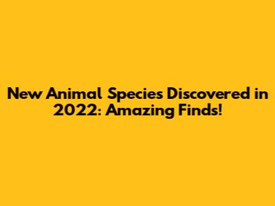 New Animal Species Discovered in 2022: Amazing Finds!