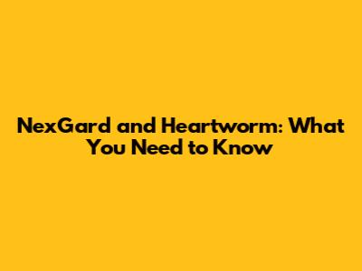 NexGard and Heartworm: What You Need to Know