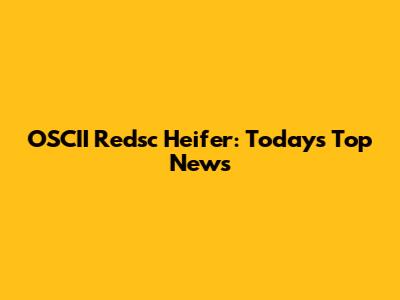 OSCII Redsc Heifer: Today's Top News