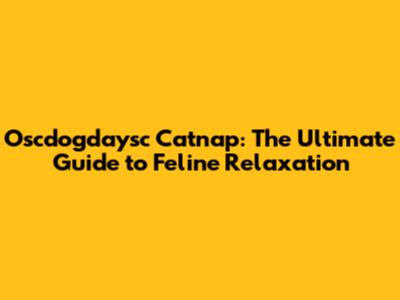 Oscdogdaysc Catnap: The Ultimate Guide to Feline Relaxation