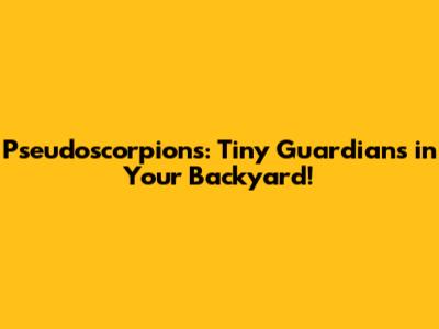 Pseudoscorpions: Tiny Guardians in Your Backyard!
