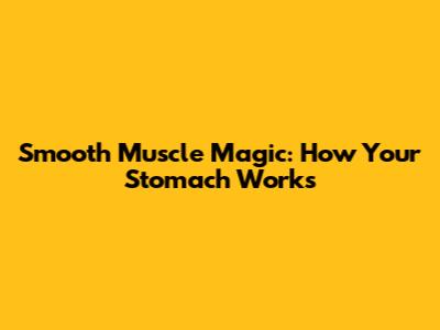Smooth Muscle Magic: How Your Stomach Works