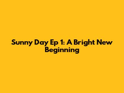 Sunny Day Ep 1: A Bright New Beginning