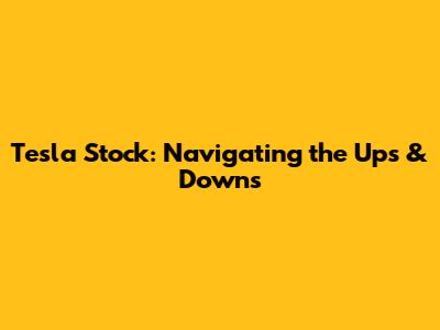 Tesla Stock: Navigating the Ups & Downs