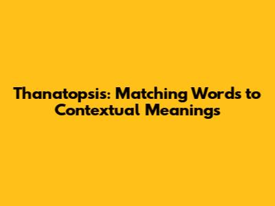Thanatopsis: Matching Words to Contextual Meanings
