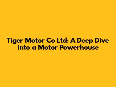 Tiger Motor Co Ltd: A Deep Dive into a Motor Powerhouse