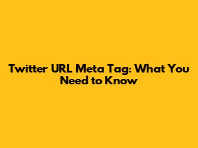 Twitter URL Meta Tag: What You Need to Know