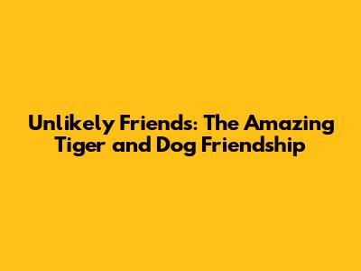 Unlikely Friends: The Amazing Tiger and Dog Friendship