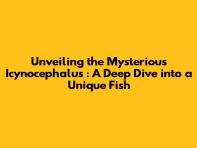 Unveiling the Mysterious *Icynocephalus*: A Deep Dive into a Unique Fish