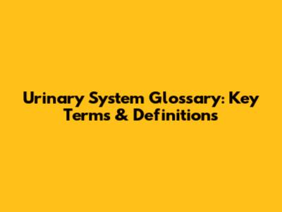 Urinary System Glossary: Key Terms & Definitions